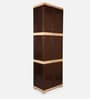 Planet Polypropylene (PP) Plastic Cabinet in Brown Finish