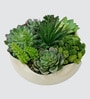 Faux Multi Succulent Set
