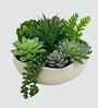 Faux Multi Succulent Set