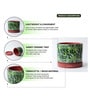 (1Pc) Red & Green Terracotta Plant Pot