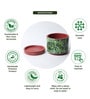 (1Pc) Red & Green Terracotta Plant Pot