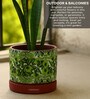 (1Pc) Red & Green Terracotta Plant Pot