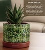(1Pc) Red & Green Terracotta Plant Pot