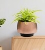 Metal Two Tone Small Table Planter Black
