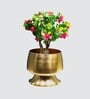 Metal Plain Table Small Planter