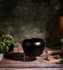 Black Planter Stand Bowl