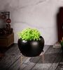 Black Planter Stand Bowl