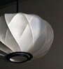 Plasma Pendant Lamp