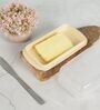 Plastic Butter Dish with Lid, BPA-Free