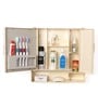 Plastic Double Door Bathroom Cabinet With Lower Shelf