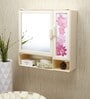 Plastic Double Door Bathroom Cabinet With Lower Shelf