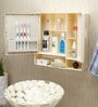 Plastic Double Door Bathroom Cabinet With Lower Shelf