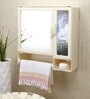 Plastic Double Door Bathroom Cabinet With Towel Rod