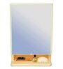 Plastic Elegant Full Mirror With Door Bathroom Cabinet