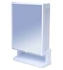 Plastic Elegant Full Mirror With Door Bathroom Cabinet