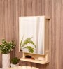 Plastic Elegant Full Mirror With Door Bathroom Cabinet