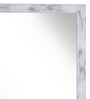 Plastic Bathroom Mirror In White (L: 14, W: 1, H: 20 Inches)