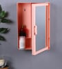 Plastic Pink Bathroom Cabinet With Mirror