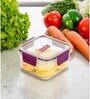 Transparent & Purple Plastic 1000 ml Airtight Leak Proof Storage Container