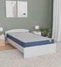 Plus Orthopedic 6 Inch (78x36) PU & Memory Foam Single Size Mattress