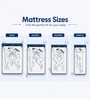 Plus Orthopedic 6 Inch PU & Memory Foam Single Size Mattress Plus Orthopedic 6 Inch PU & Memory Foam Single Size Mattress