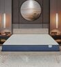 Plus Orthopedic 8 Inches PU & Memory Foam Queen Size Mattress