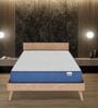 Plus Orthopedic 8 Inches PU & Memory Foam Single Size Mattress