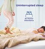 Plus Orthopedic 8 Inches PU & Memory Foam Single Size Mattress