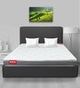 Plush 6 inch Bonnell Spring Queen Size Mattress