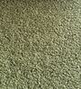 Plush Boucle Kids Lounge Chair In Olive Colour Plush Boucle Kids Lounge Chair In Olive Colour