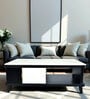 Plush Marble Top Coffee Table In Blank & White Finish