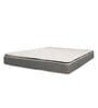 Plush 6 inch Bonnell Spring Queen Size Mattress