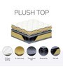 Plush 6 inch Bonnell Spring Queen Size Mattress