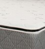 Plush 6 inch Bonnell Spring Queen Size Mattress