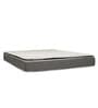 Plush 8 inch Bonnell Spring Single Mattress