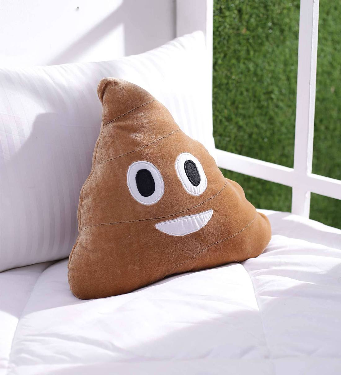 Poop on pillow hotsell