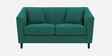 Polon Fabric 2 Seater Sofa in Sage Green Color