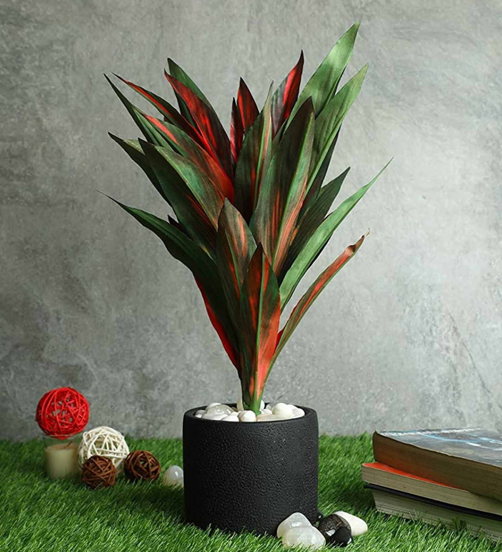 Polyester Artificial Dracaena Plant Without Pot (Red & Green)