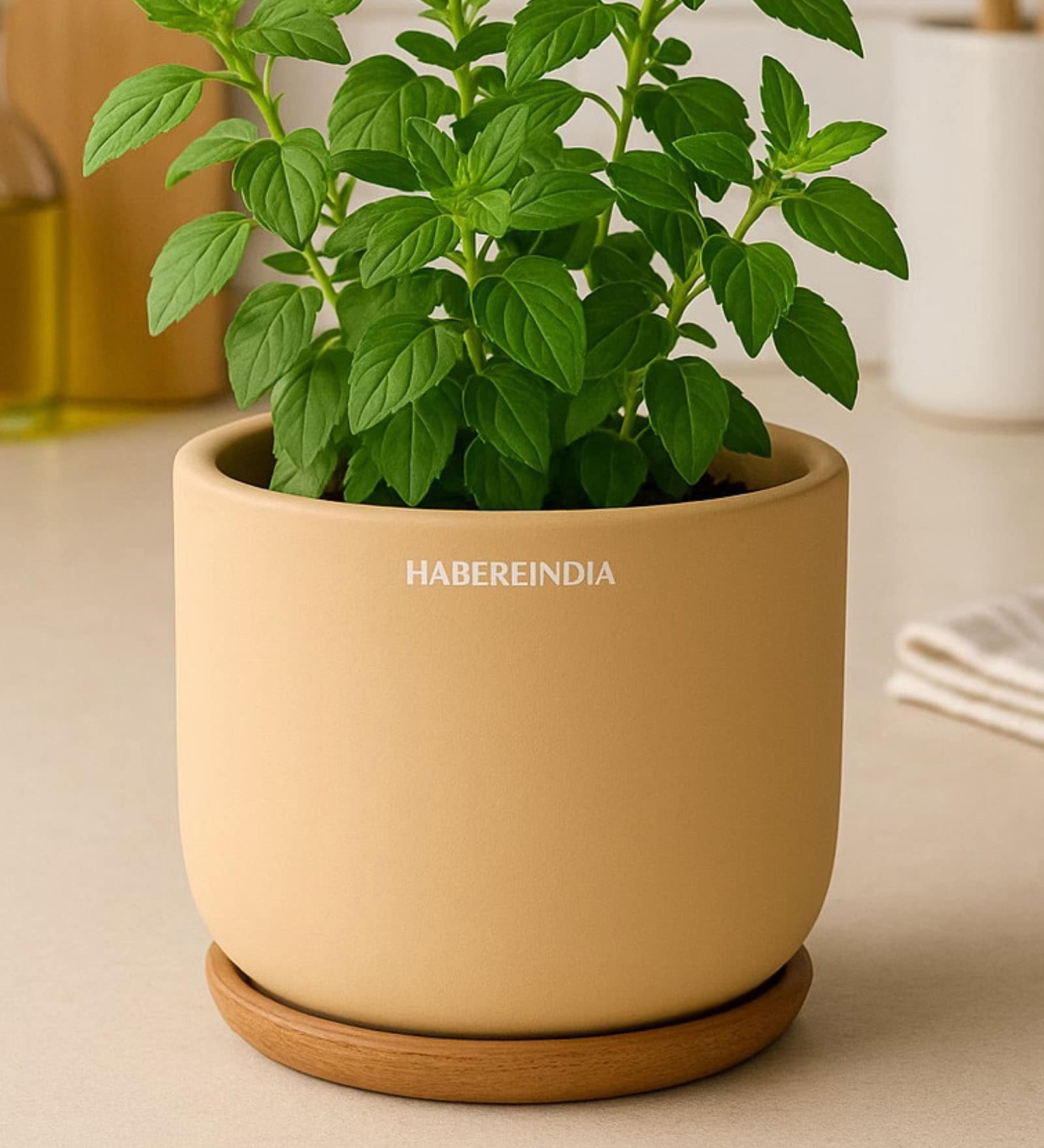 (1Pc) Beige Terracotta Plant Pot