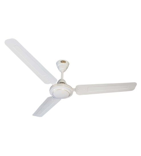 Buy Payton 1200 Mm 3 Blade Ceiling Fan Online Ceiling Fans