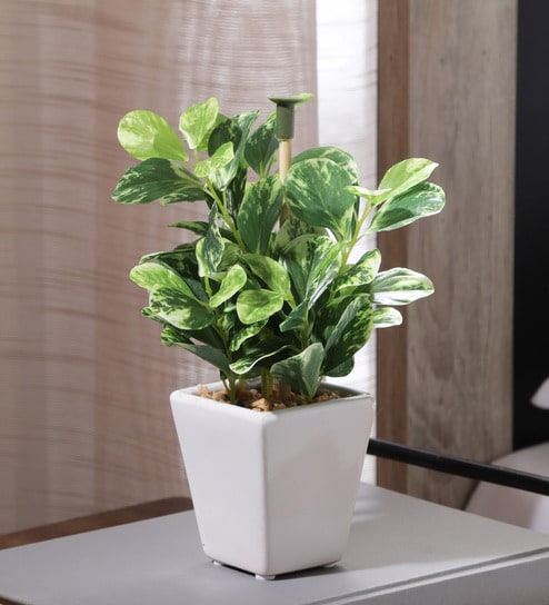 Fabric Green Coin Leafed Bonsai With Ceramic Pot Artificial Plants