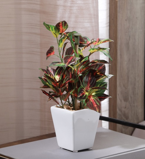Fabric Green Coleus Bonsai With Ceramic Pot Artificial Plants
