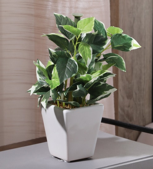 Green Fabric Artificial Bonsai Plant With Ceramic Pot
