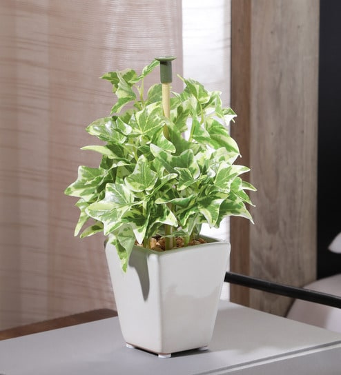 Fabric White Green Bonsai With Pot Artificial Plants