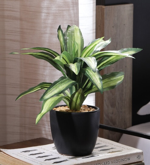 Fabric White Green Dracaena Bonsai With Ceramic Pot Artificial Plants