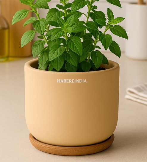 (1Pc) Beige Terracotta Plant Pot