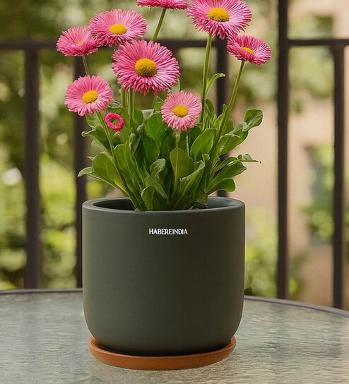(1Pc) Dark Gray Terracotta Plant Pot