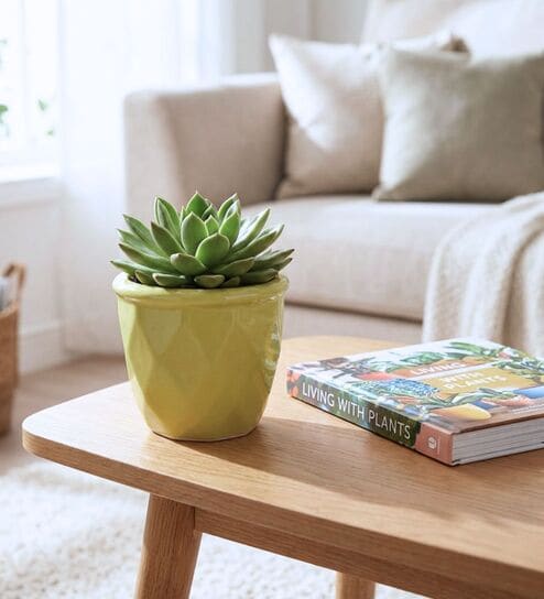 Light Green Ceramic Flower Pot
