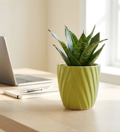 Light Green Ceramic 4-Inch Flower Pot