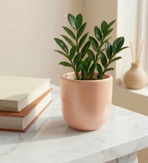 Lite Peach Ceramic Flower Pot